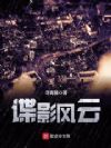 谍影风云